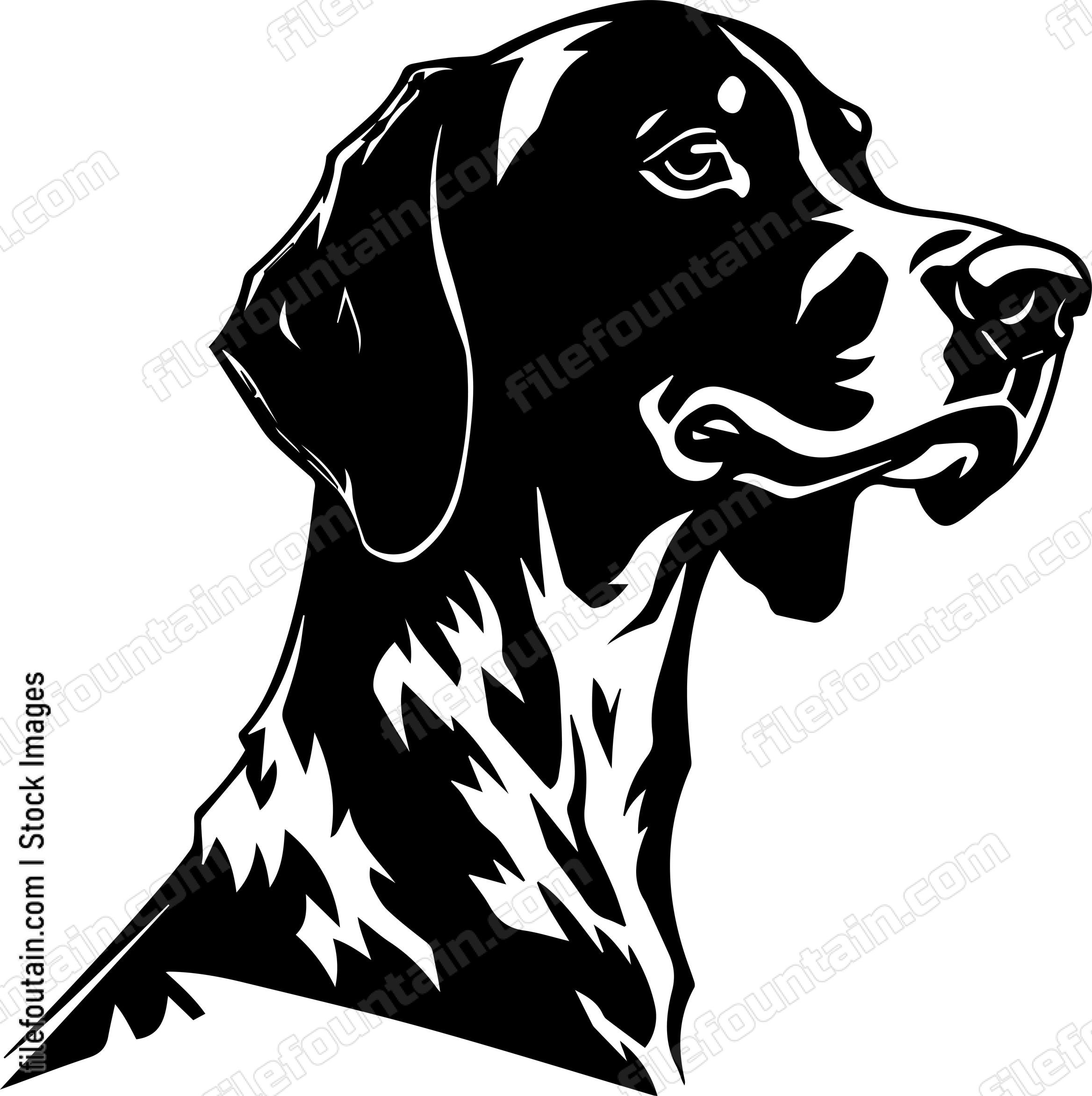 German Shorthaired Pointer