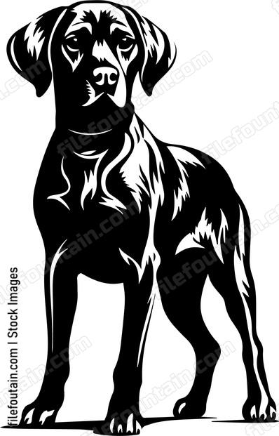 German Shorthaired Pointer