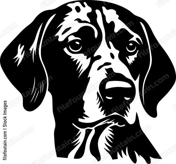 German Shorthaired Pointer