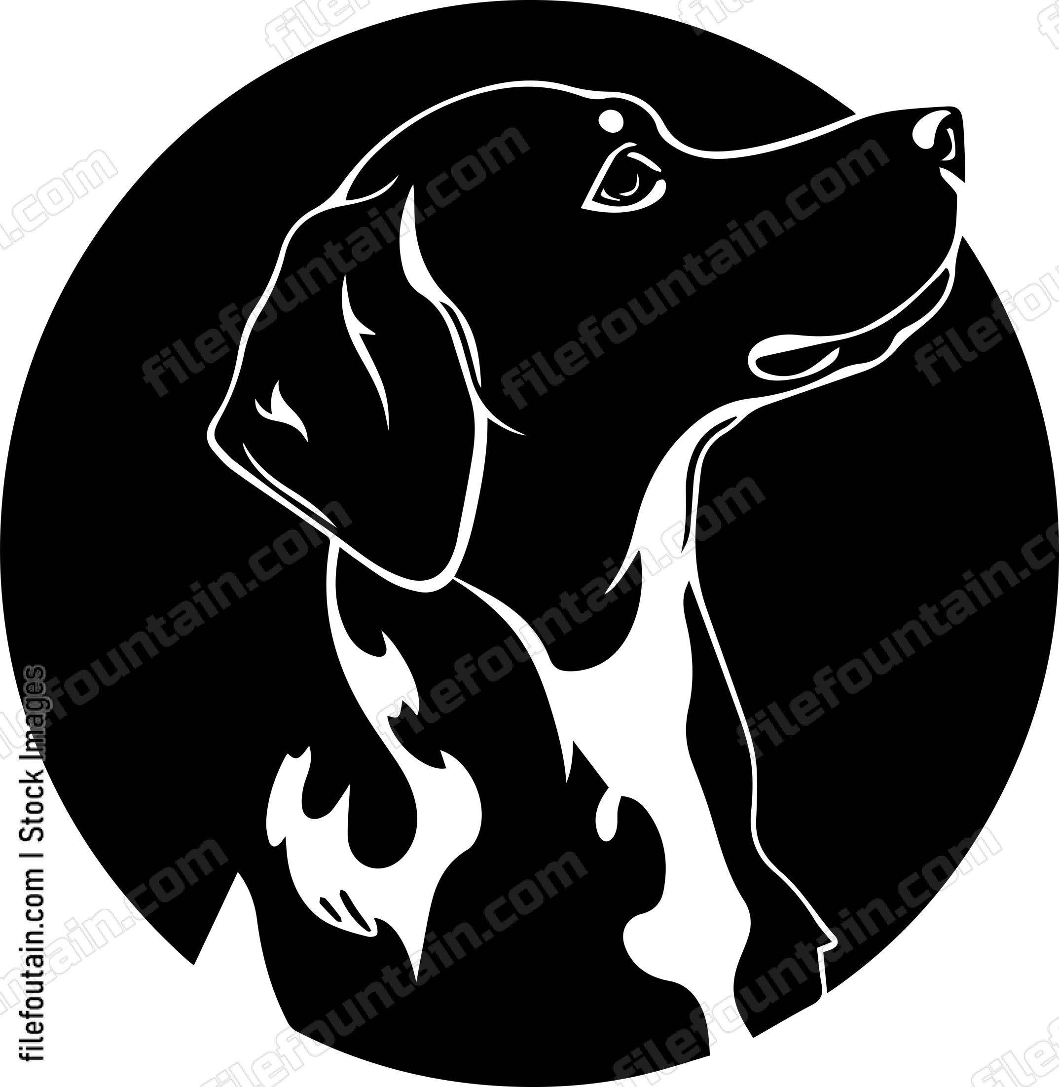 German Shorthaired Pointer