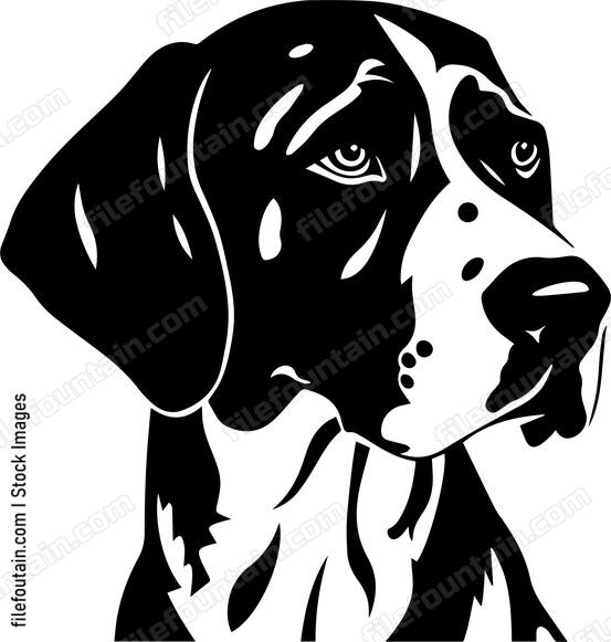 German Shorthaired Pointer