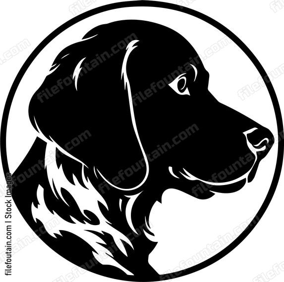 German Shorthaired Pointer