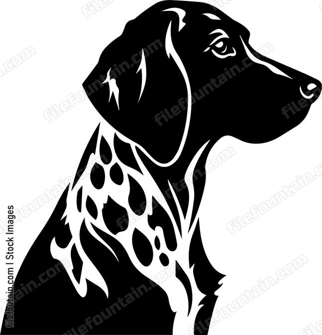 German Shorthaired Pointer