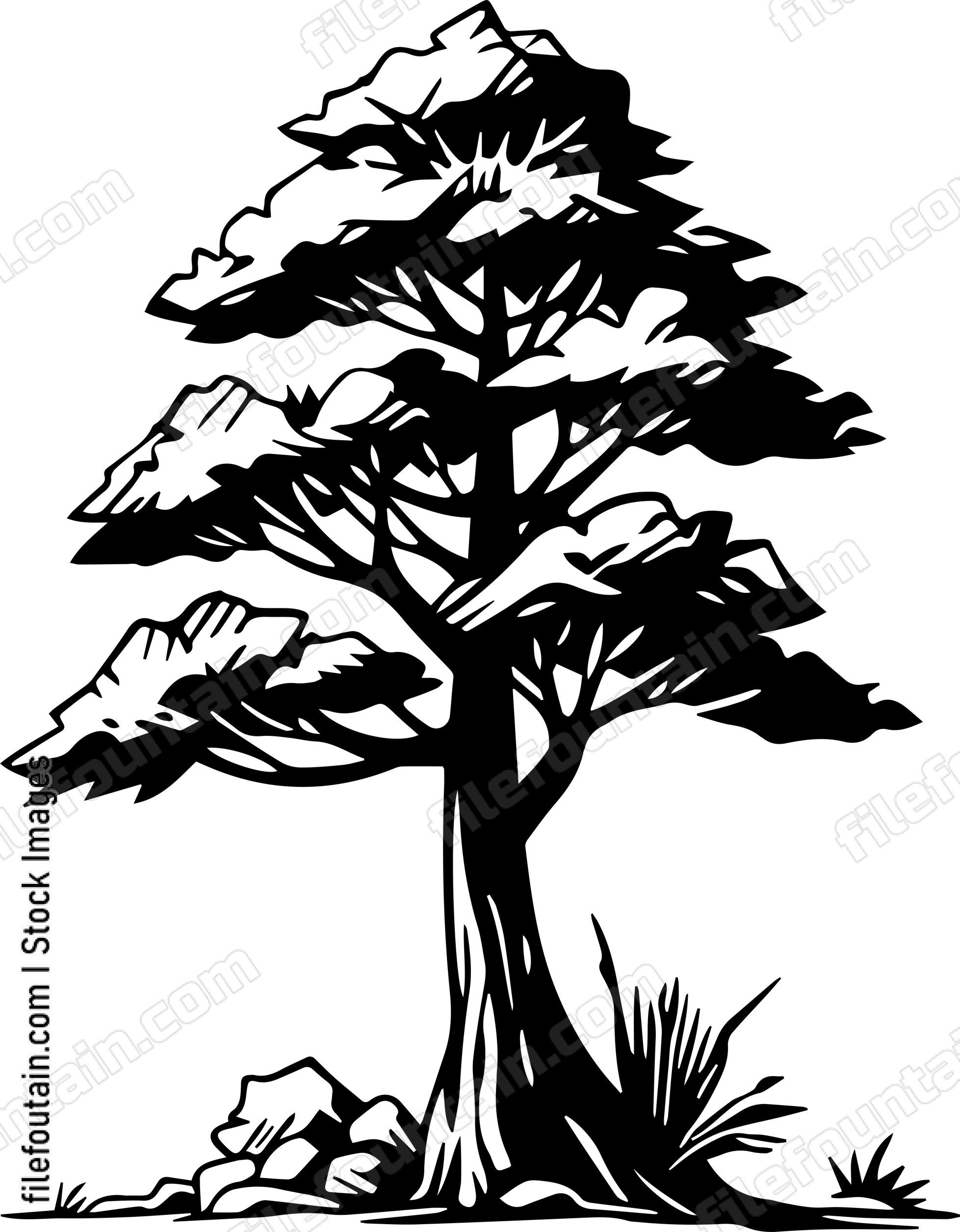 Giant Forest tree