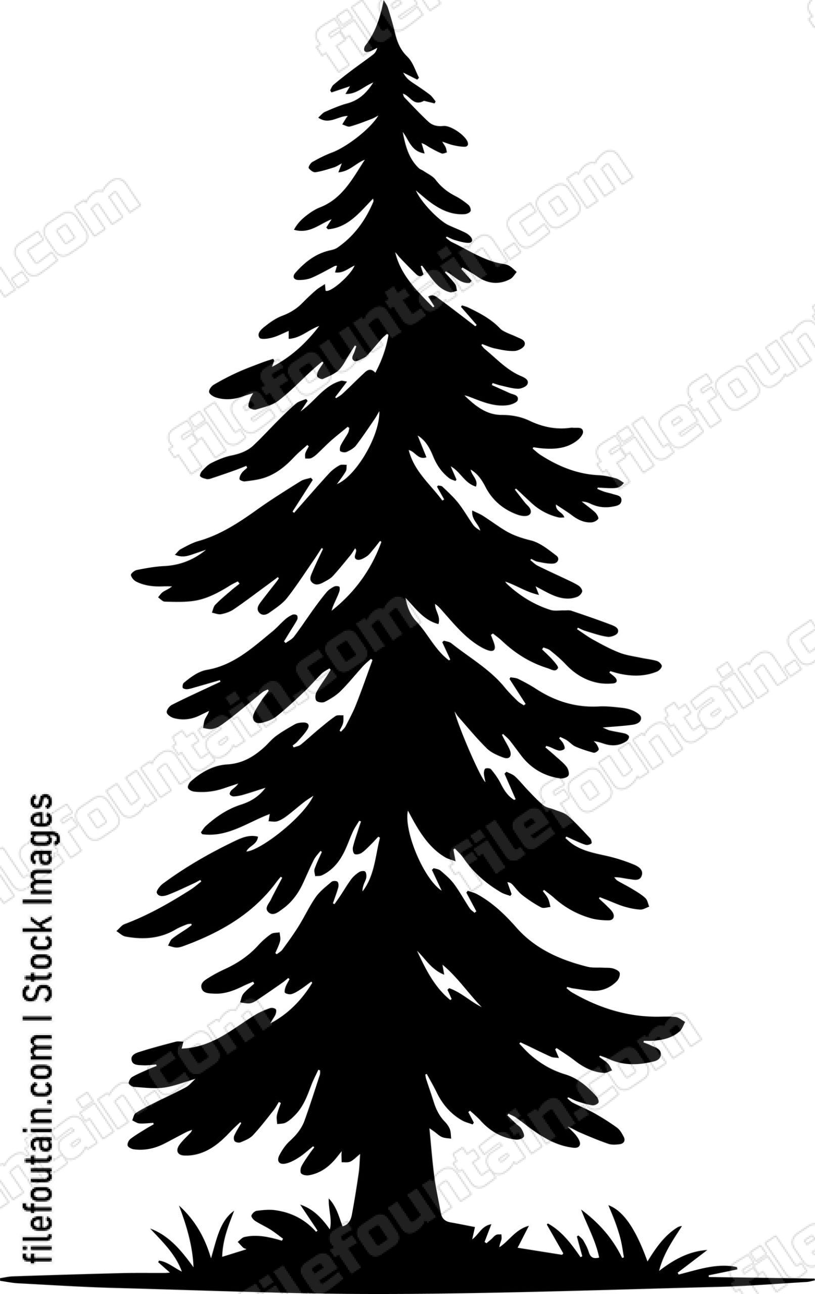Giant Forest tree