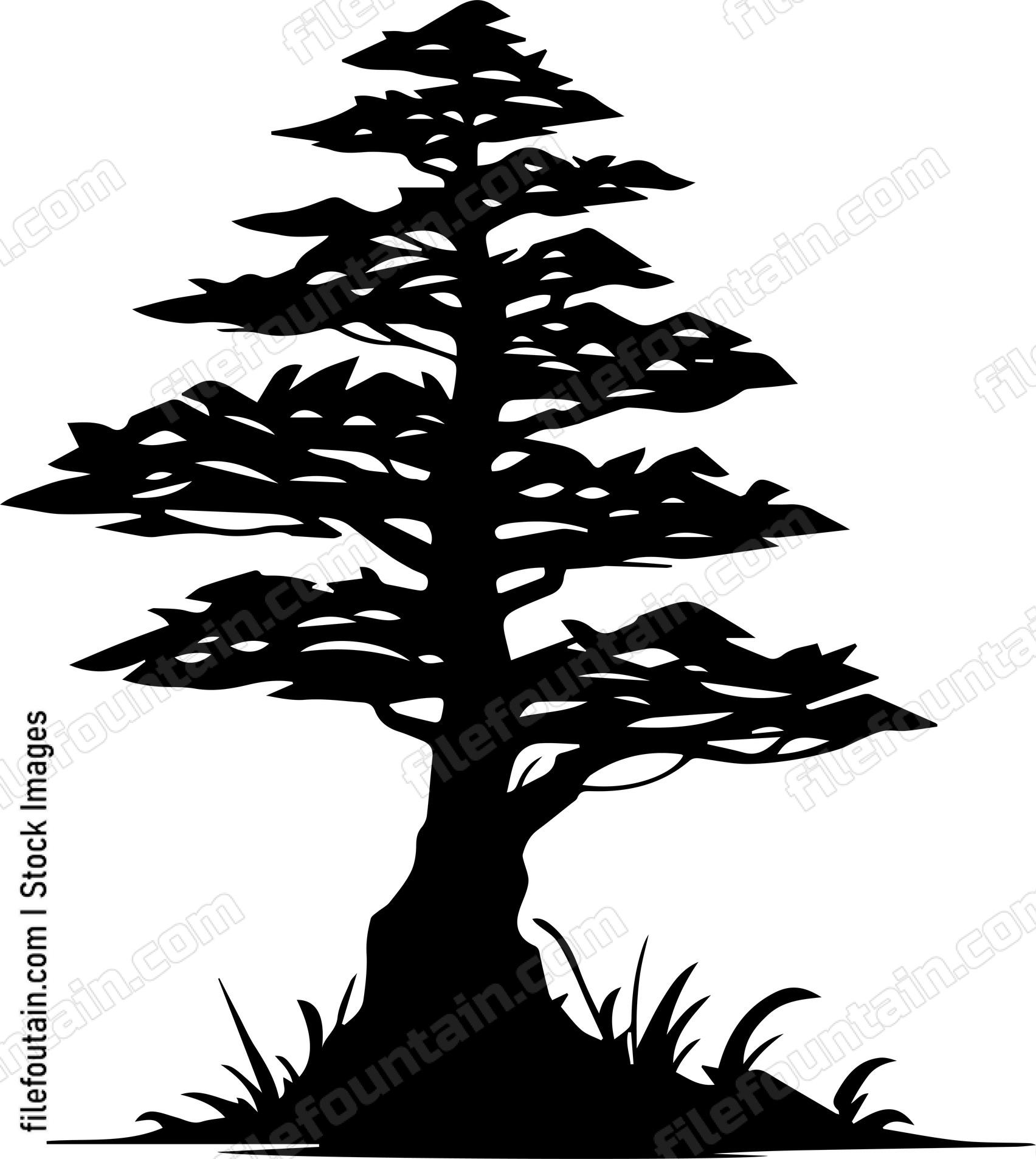 Giant Forest tree