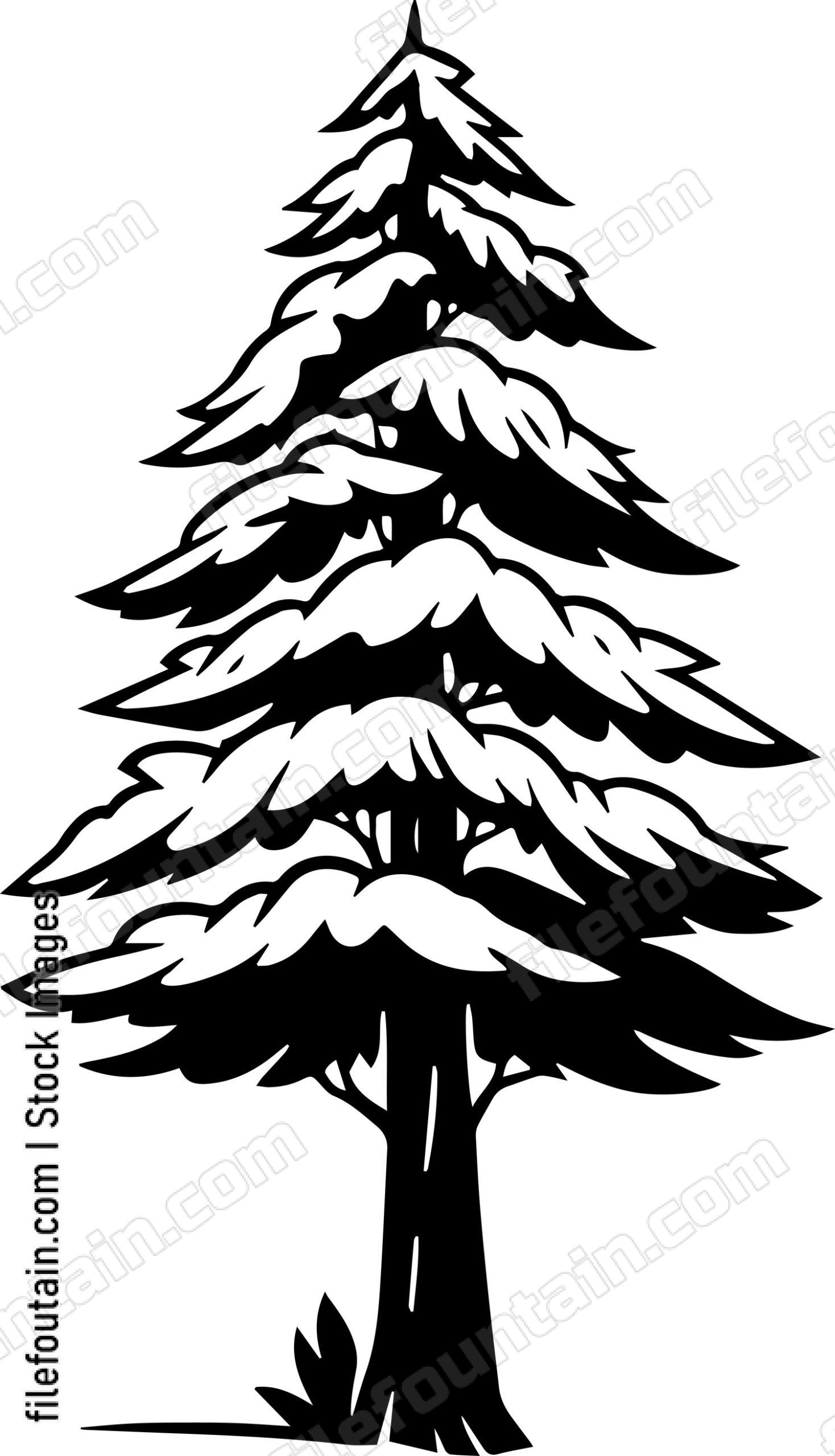 Giant Forest tree