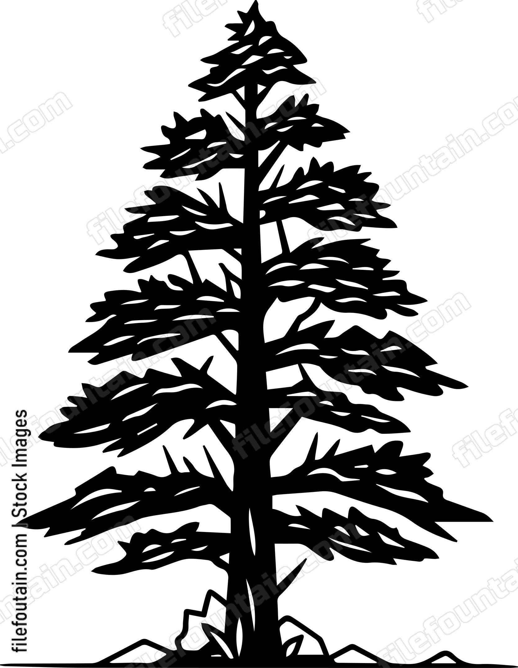 Giant Forest tree