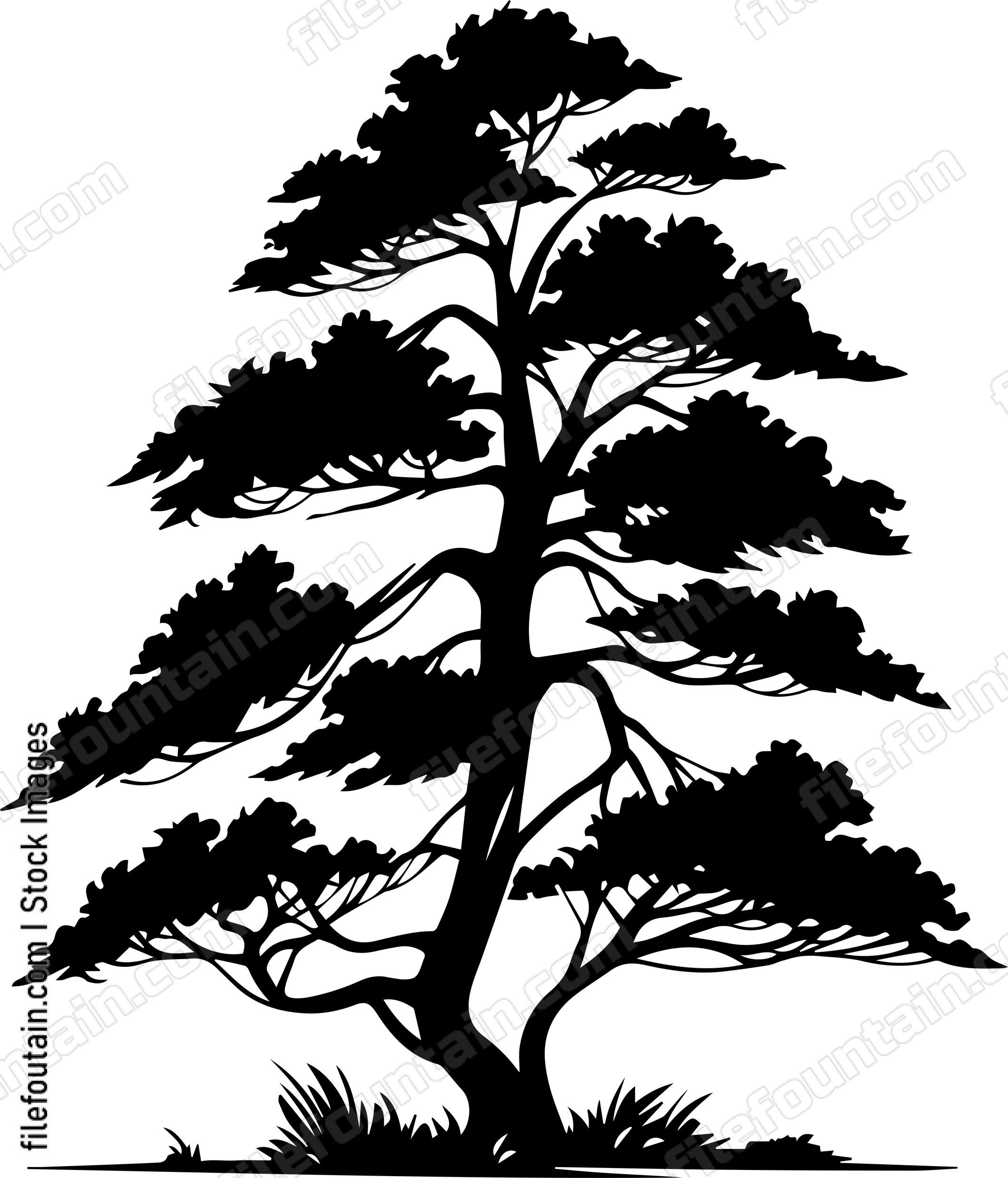 Giant Forest tree