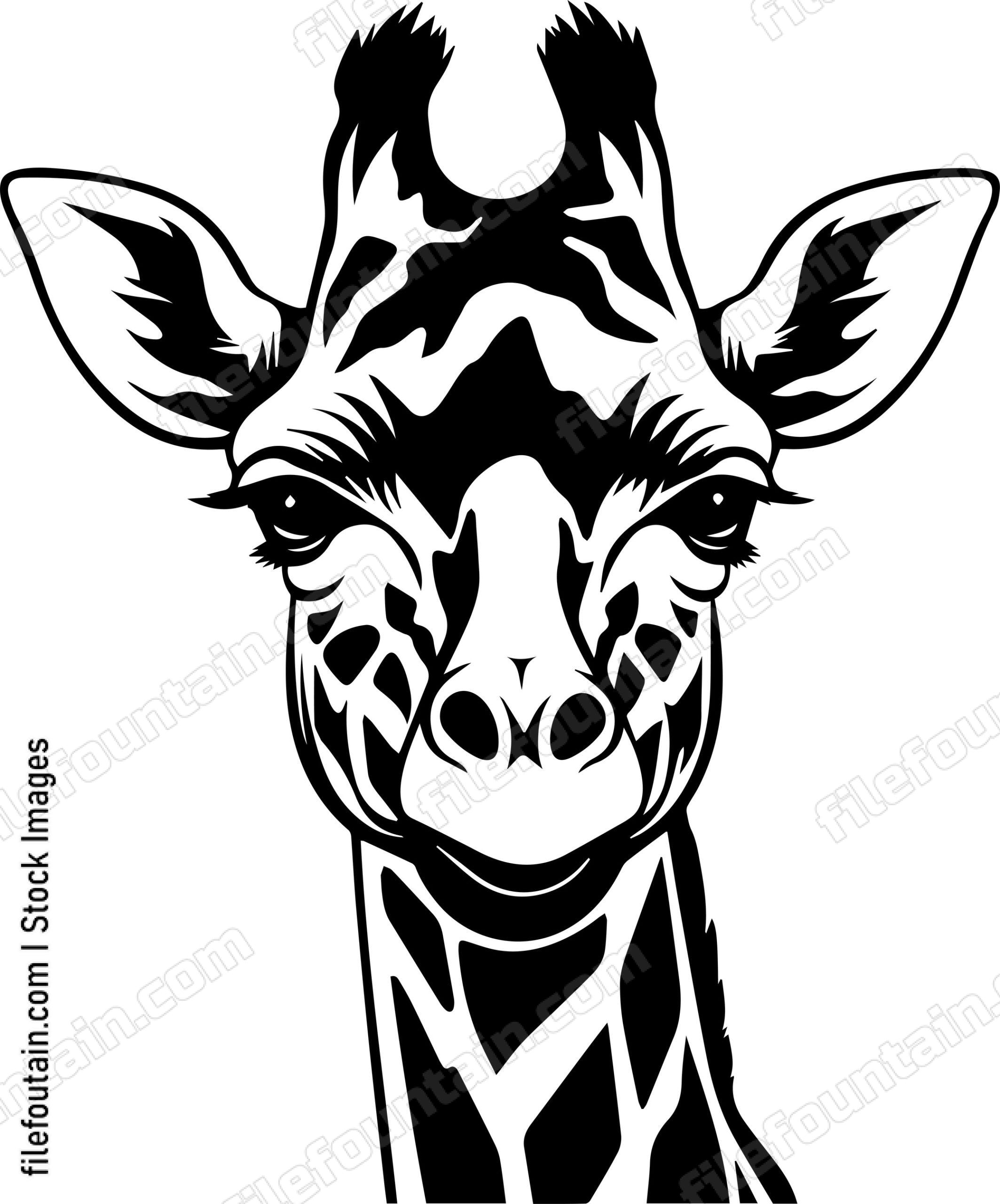 Giraffe Face