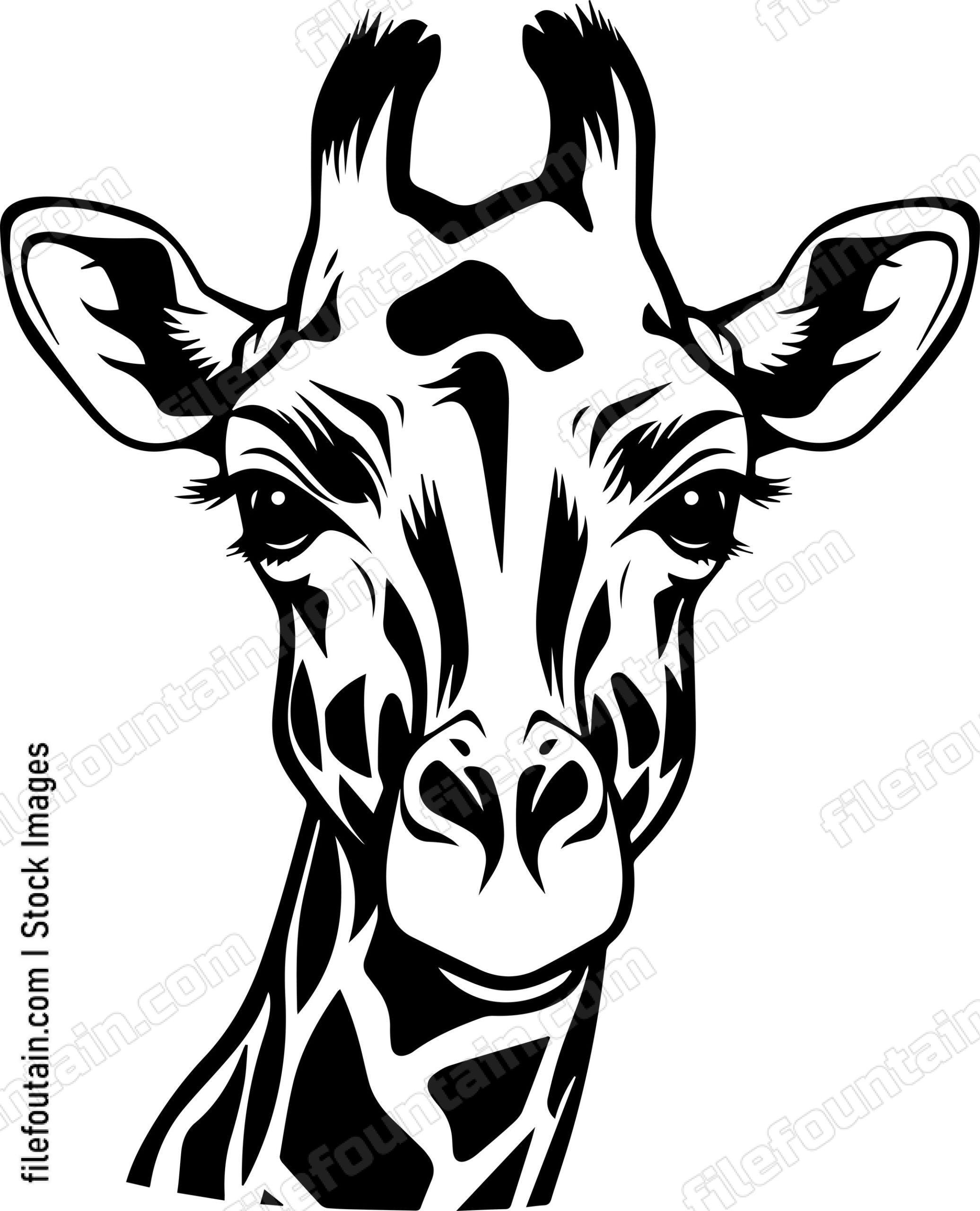 Giraffe Face