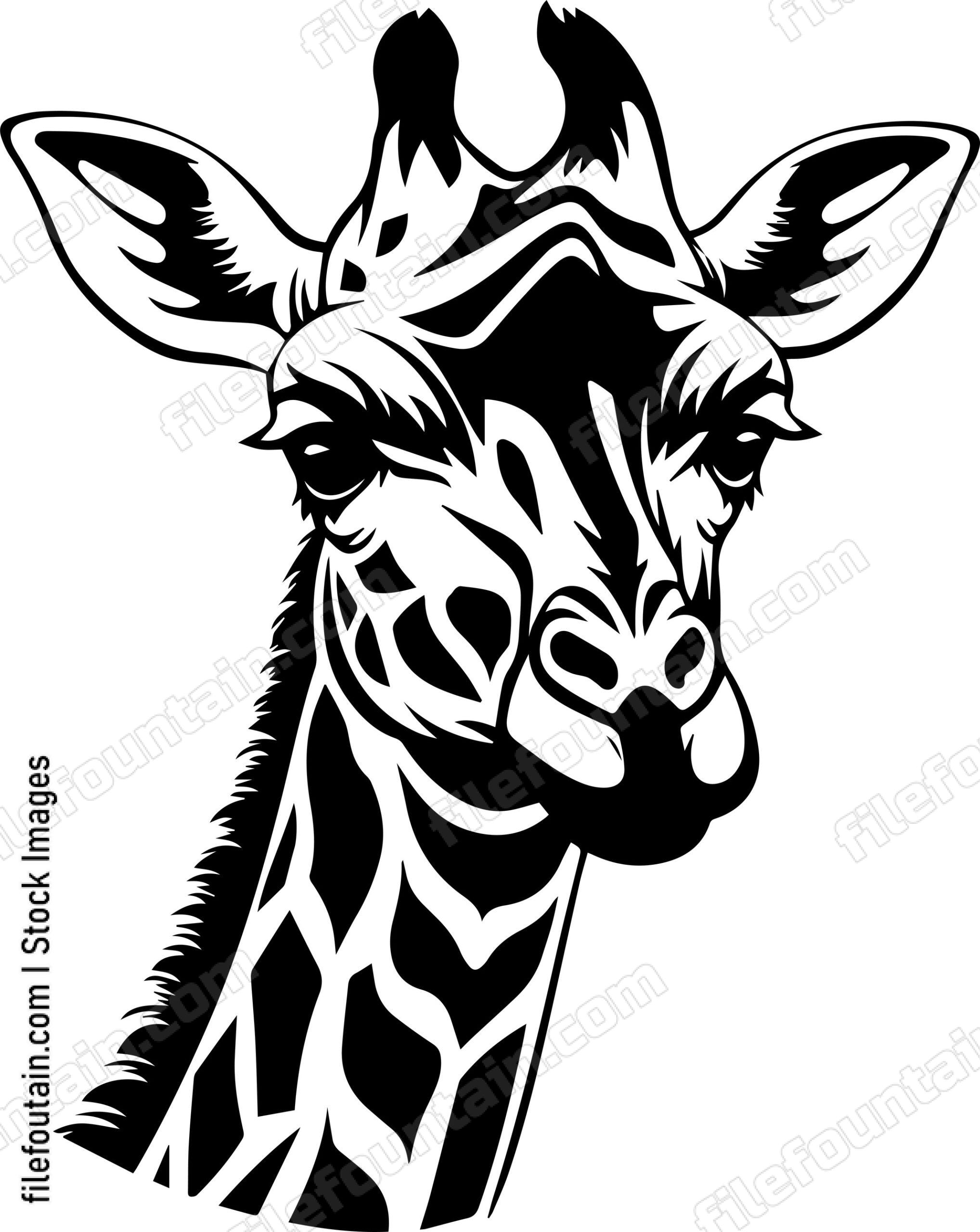 Giraffe Face