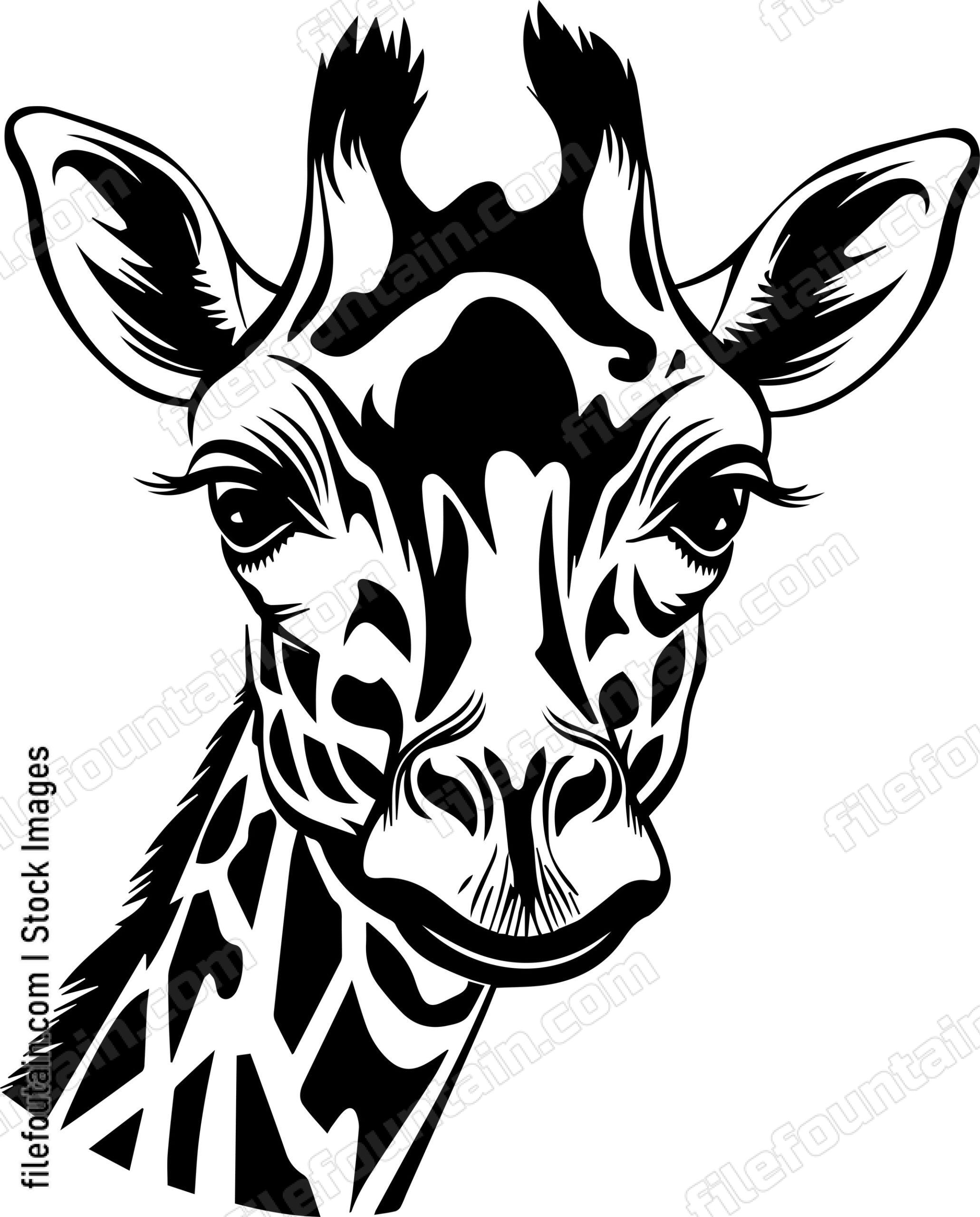 Giraffe Face