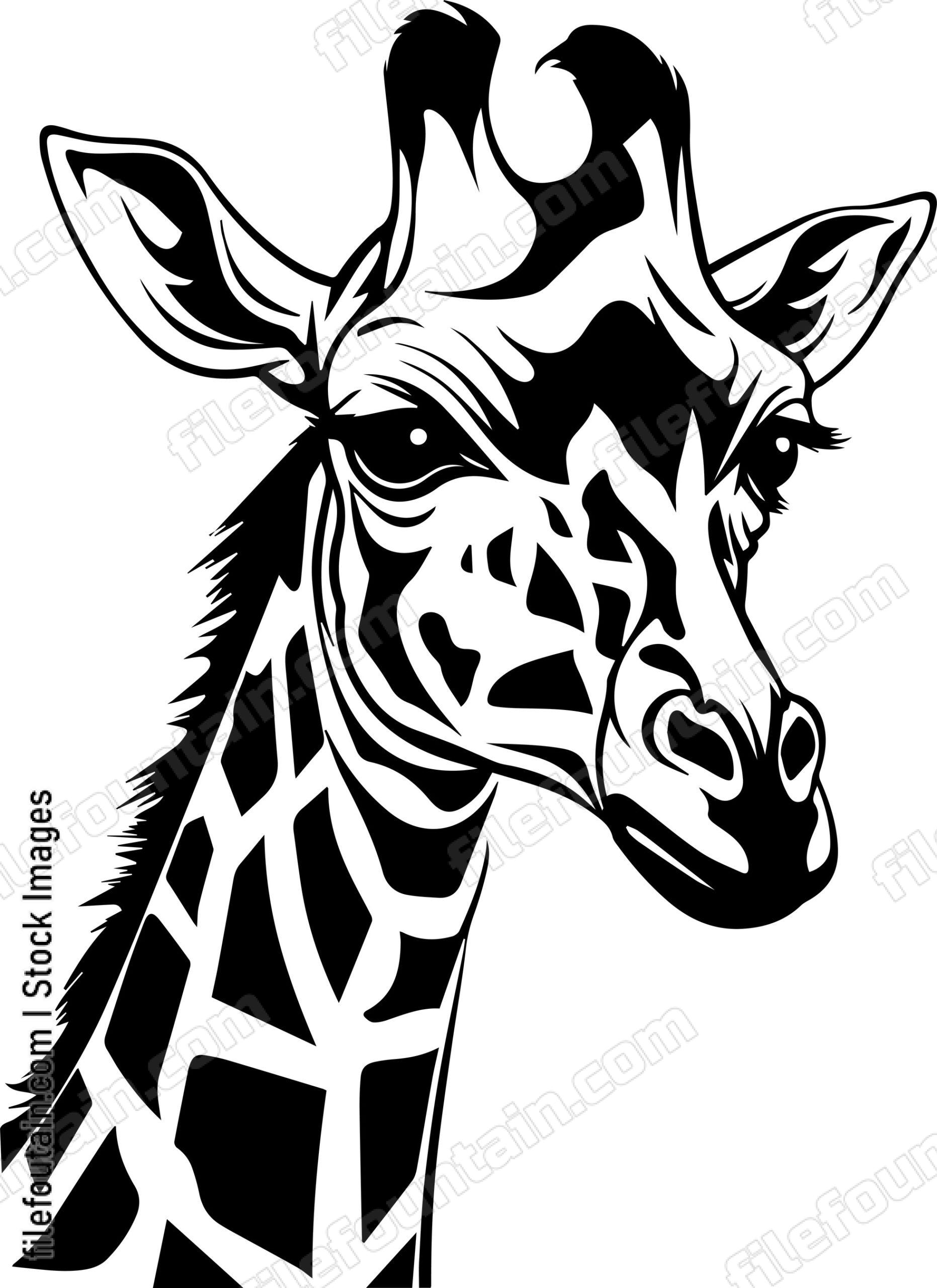 Giraffe Face