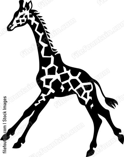 giraffe running