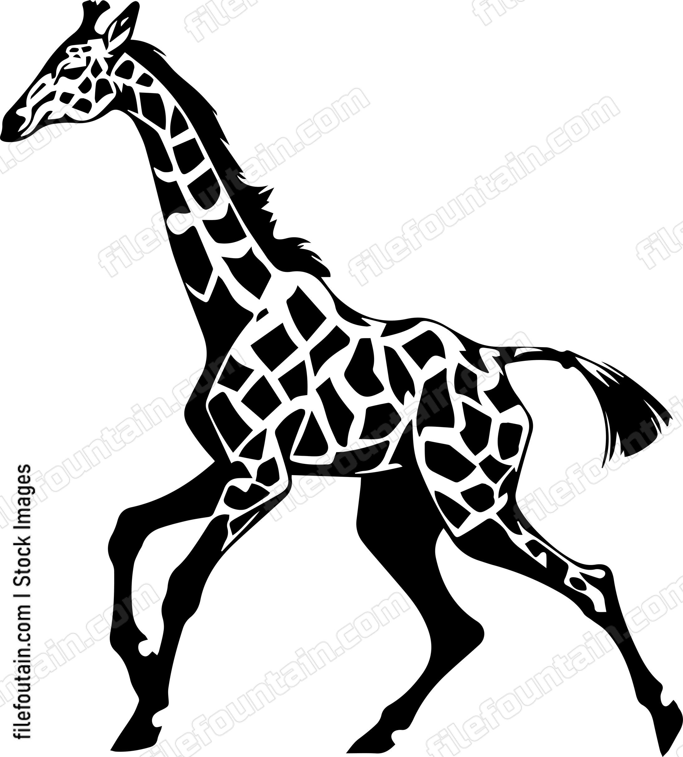 giraffe running
