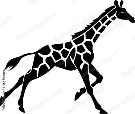 giraffe running