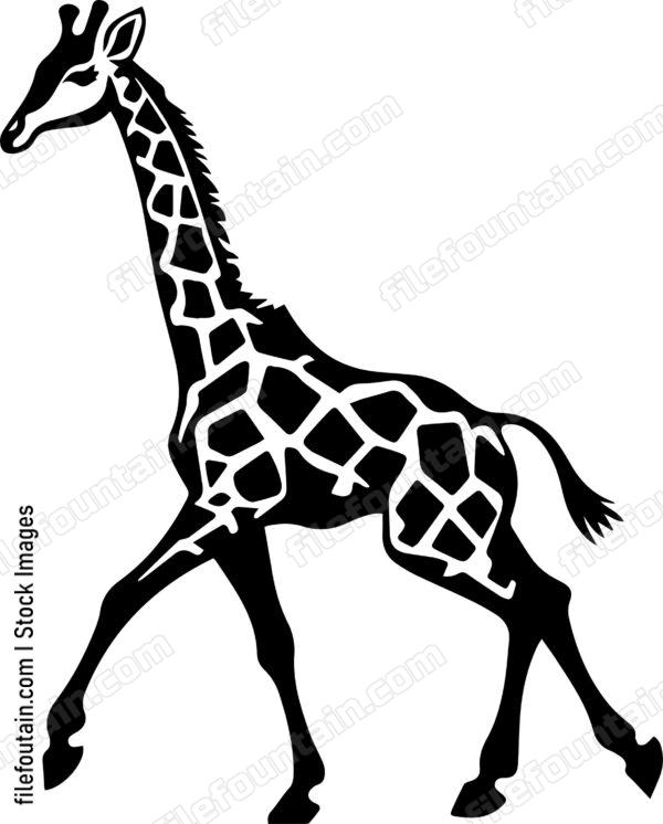 giraffe running