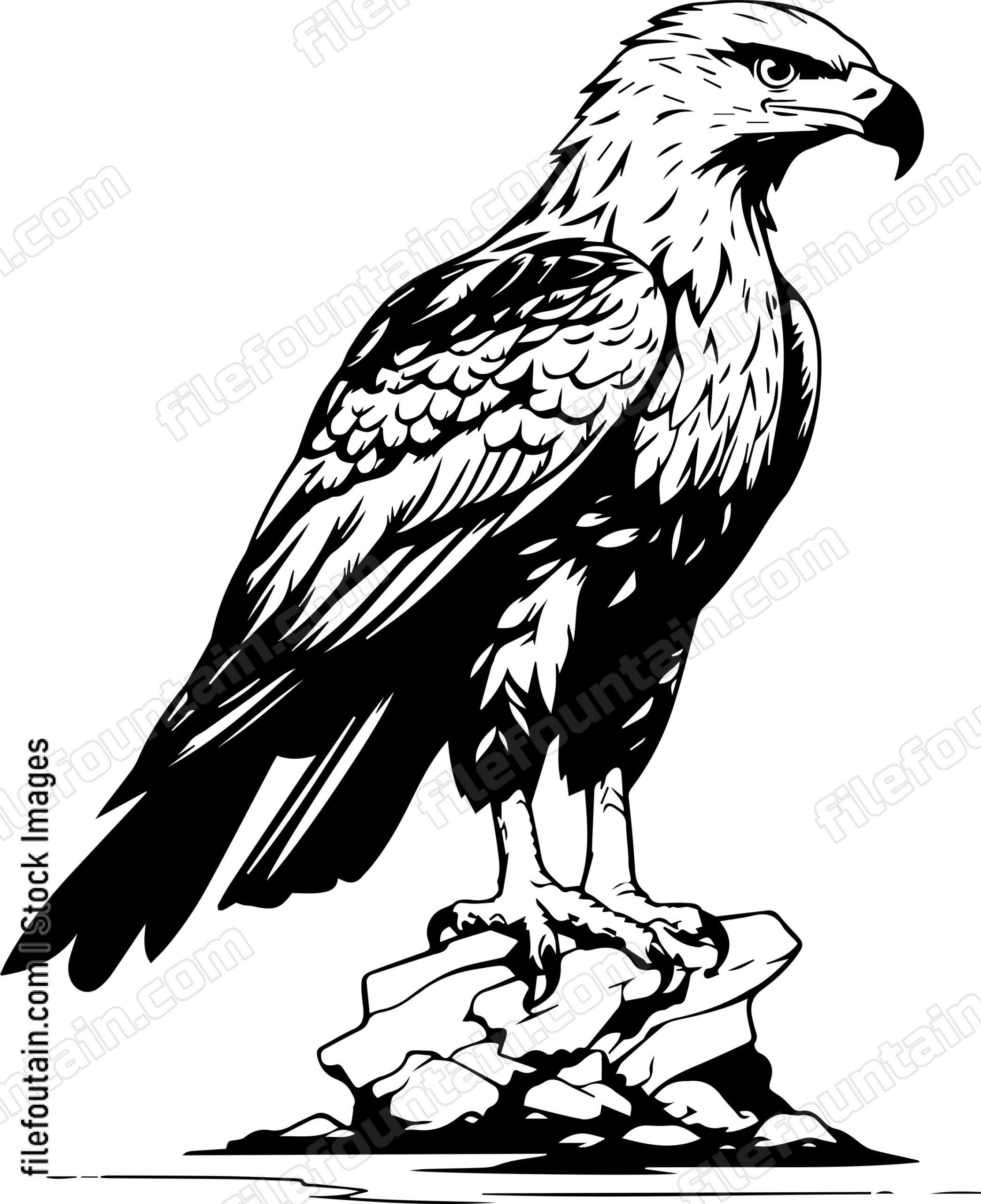 golden eagle