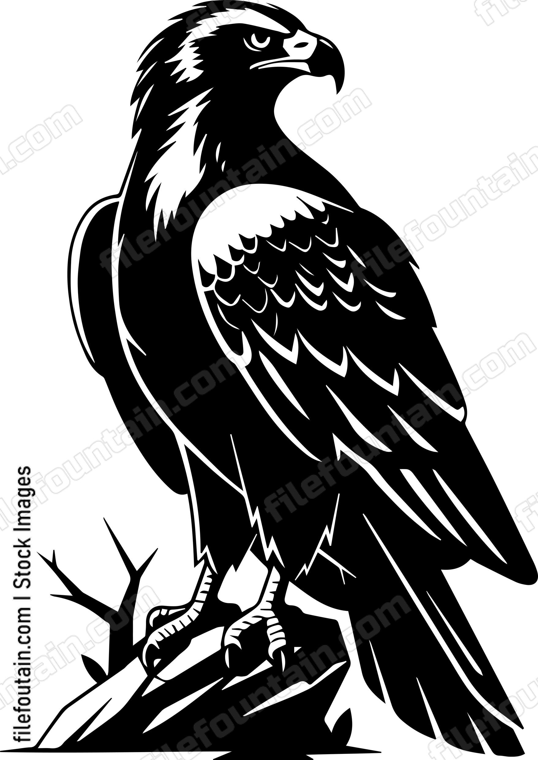 golden eagle