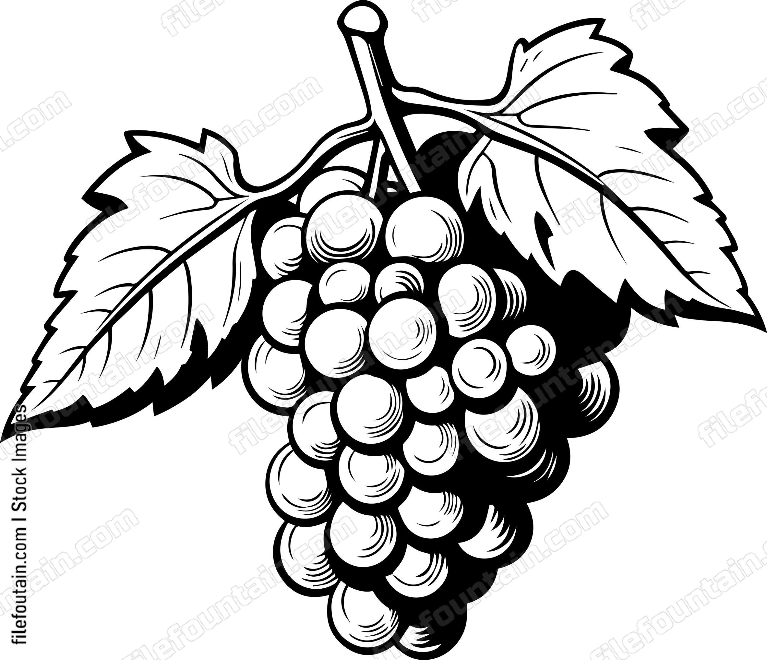 Grape Cluster