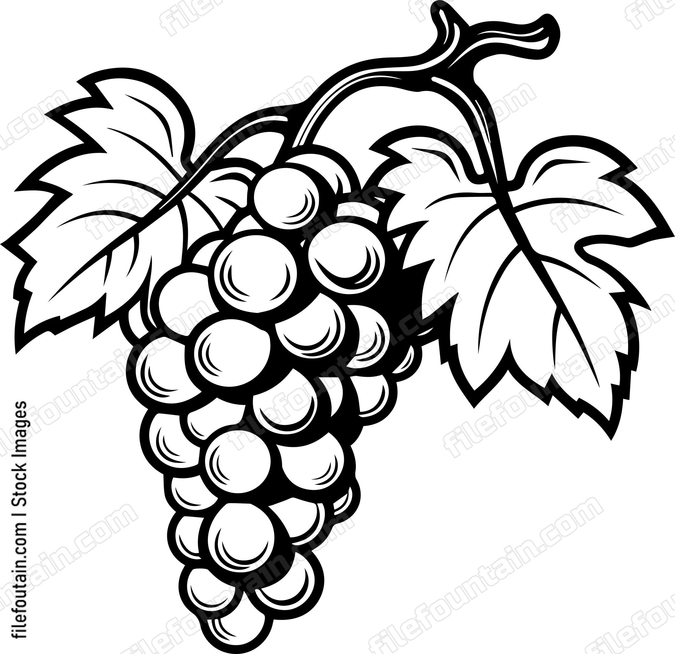 Grape Cluster