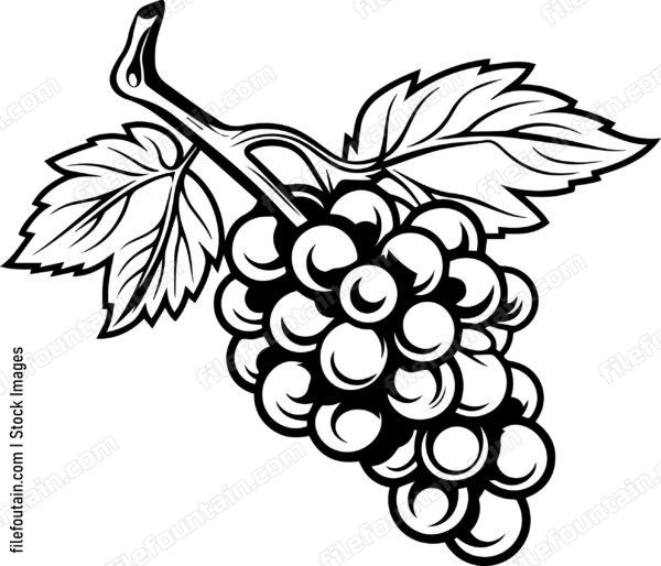 Grape Cluster