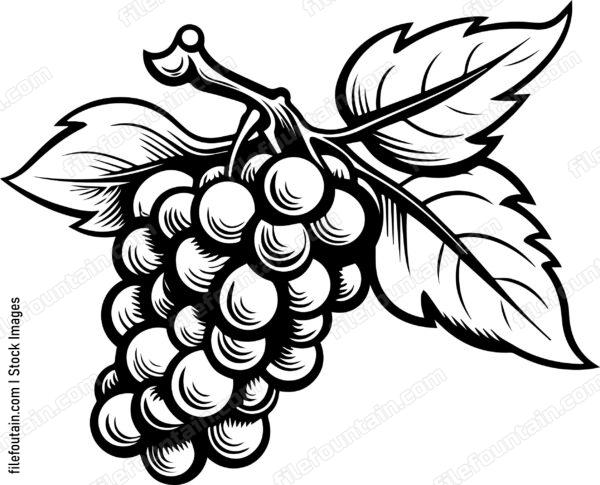 Grape Cluster Design