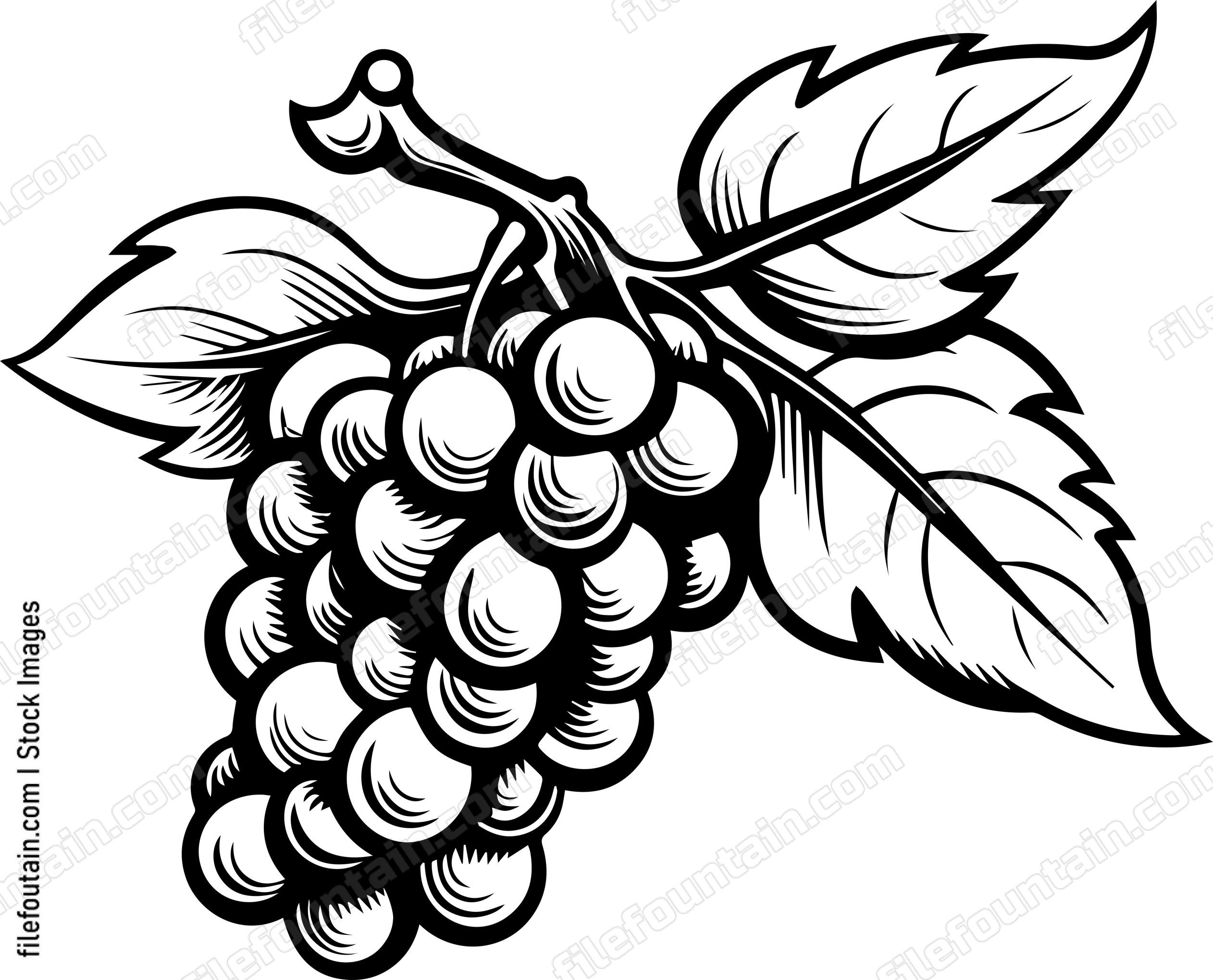 Grape Cluster Design