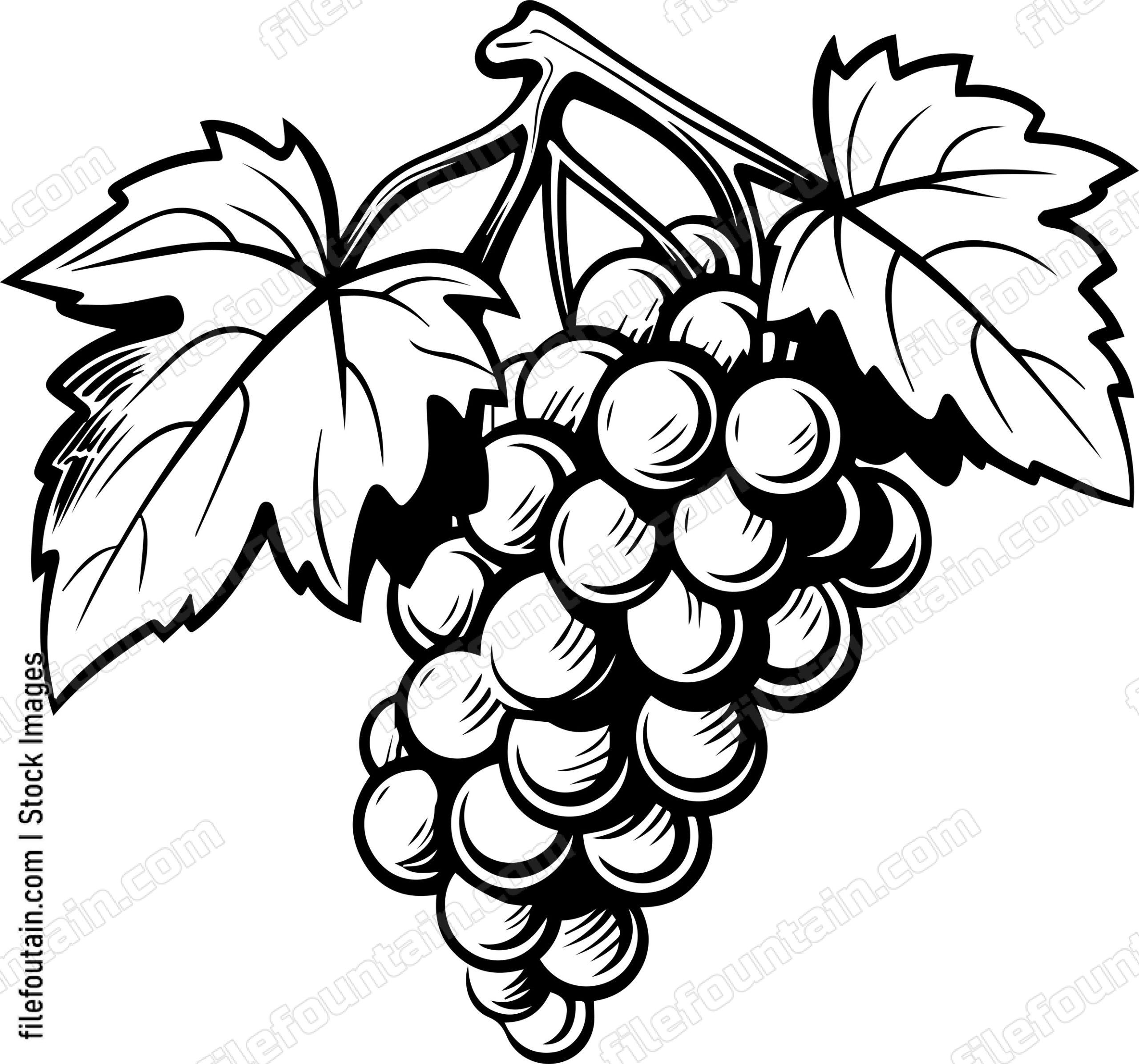 Grape Cluster Design