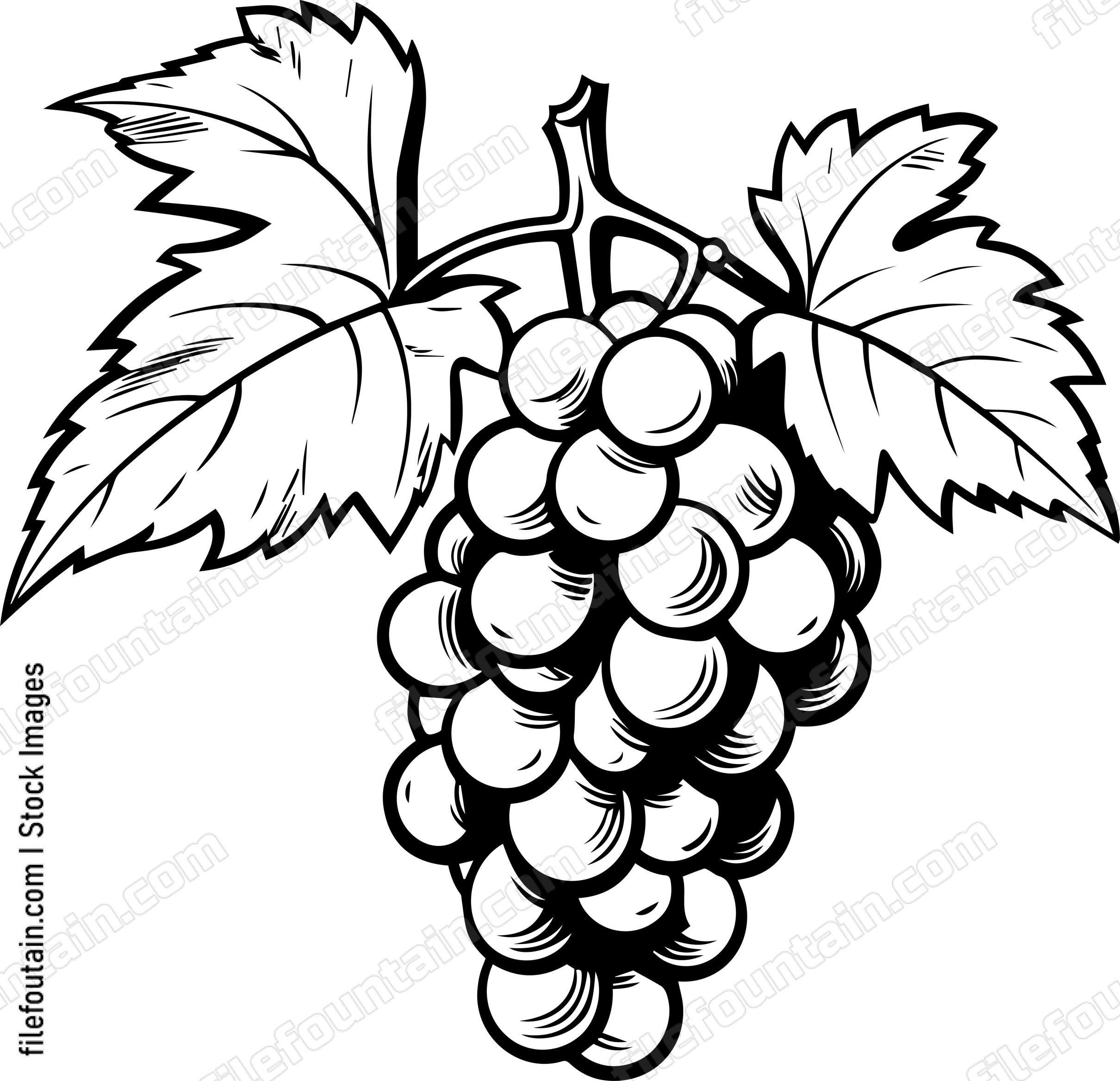 Grape Cluster Design