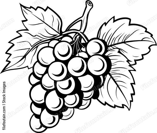 Grape Cluster Design