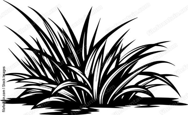 Grass Turf Laying Landscaping
