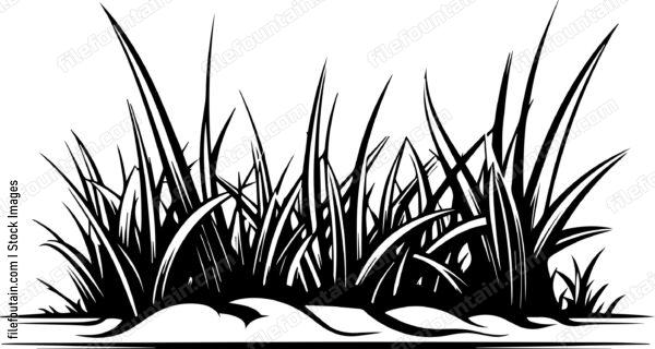 Grass Turf Laying Landscaping