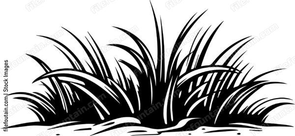 Grass Turf Laying Landscaping