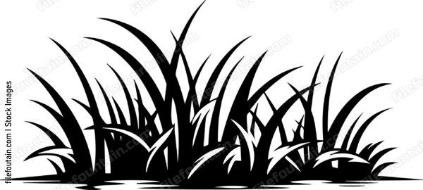 Grass Turf Laying Landscaping