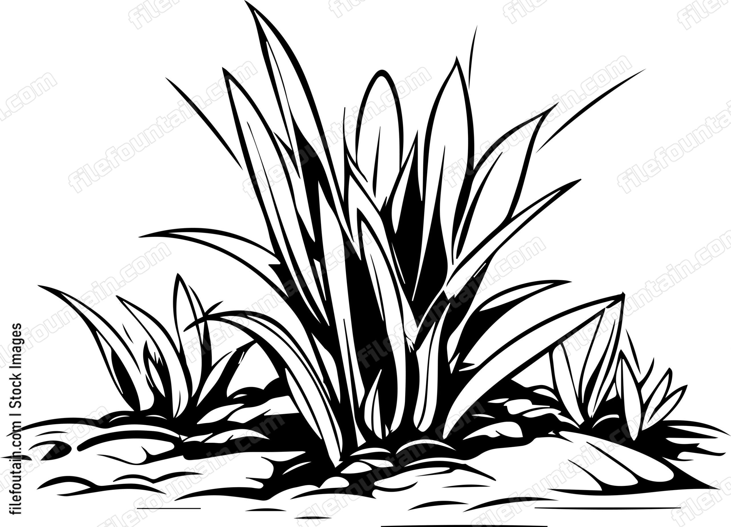 Grass Turf Laying Landscaping