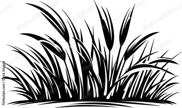 Grass Turf Laying Landscaping