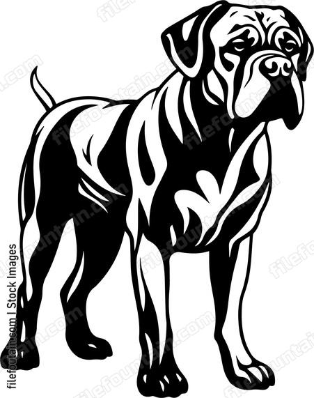 Great Dane