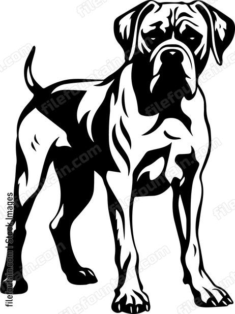 Great Dane