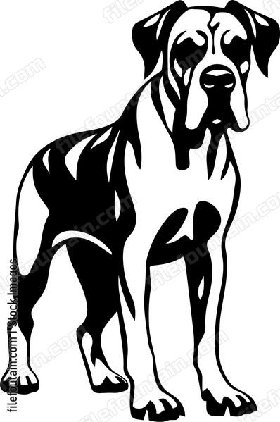 Great Dane