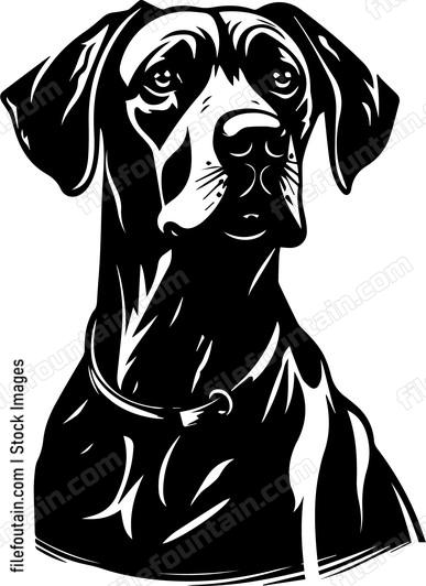 Great Dane