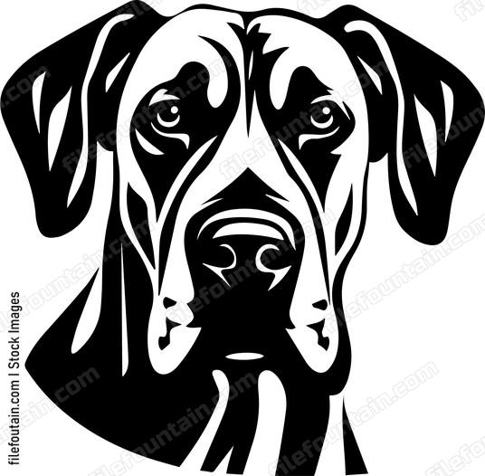 Great Dane