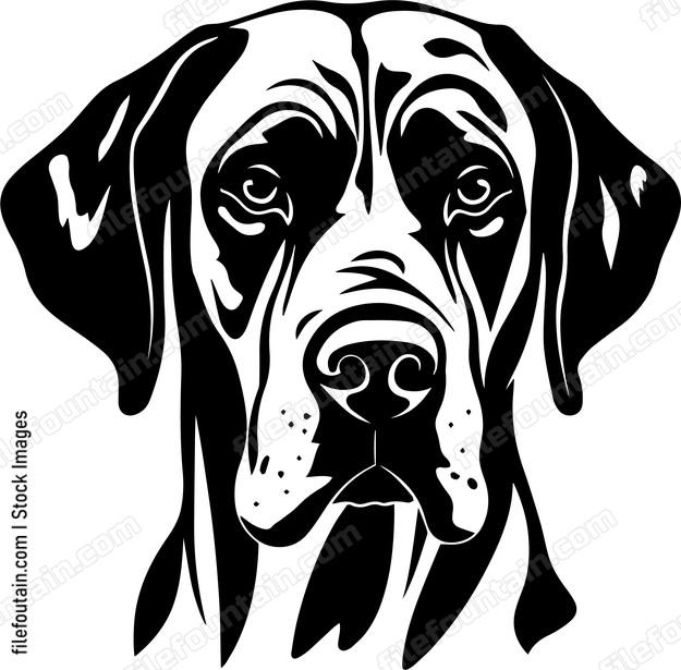 Great Dane