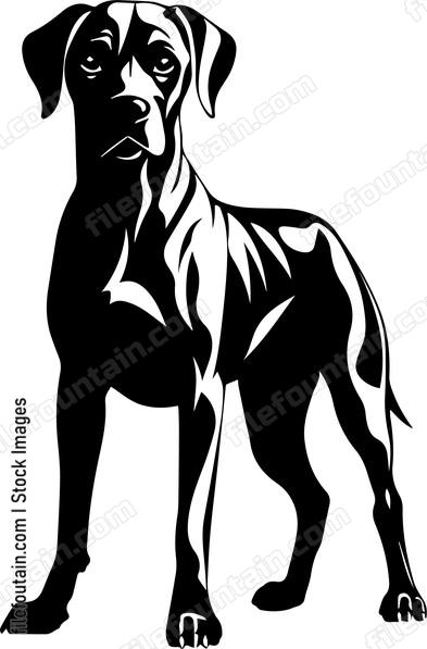 Great Dane