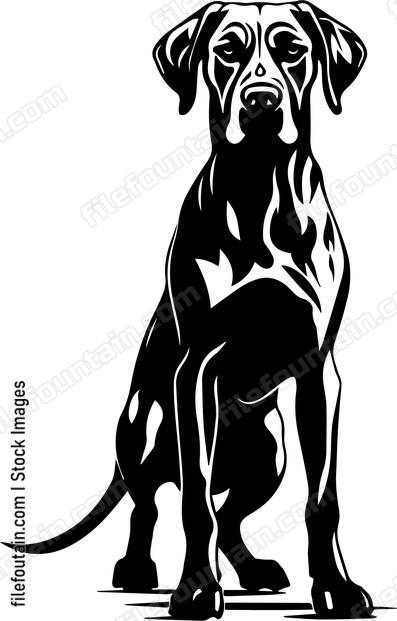Great Dane