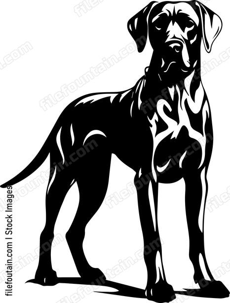 Great Dane