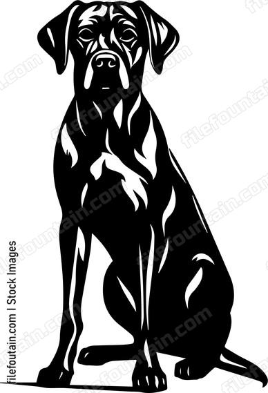 Great Dane