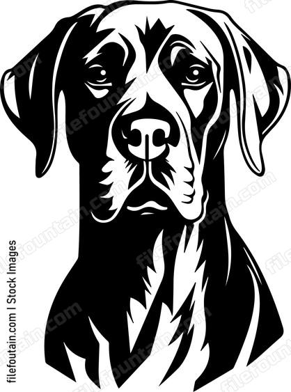 Great Dane