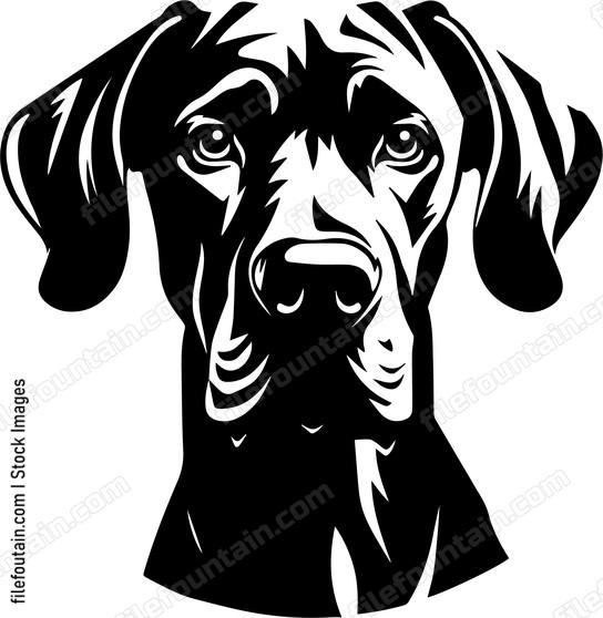 Great Dane